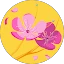 https://www.parrucchieriadvisor.it/upload/places/39658/reviews/6a3c6fc48f0d3_17823456680.png Creativity Parrucchieri Perugia Perugia